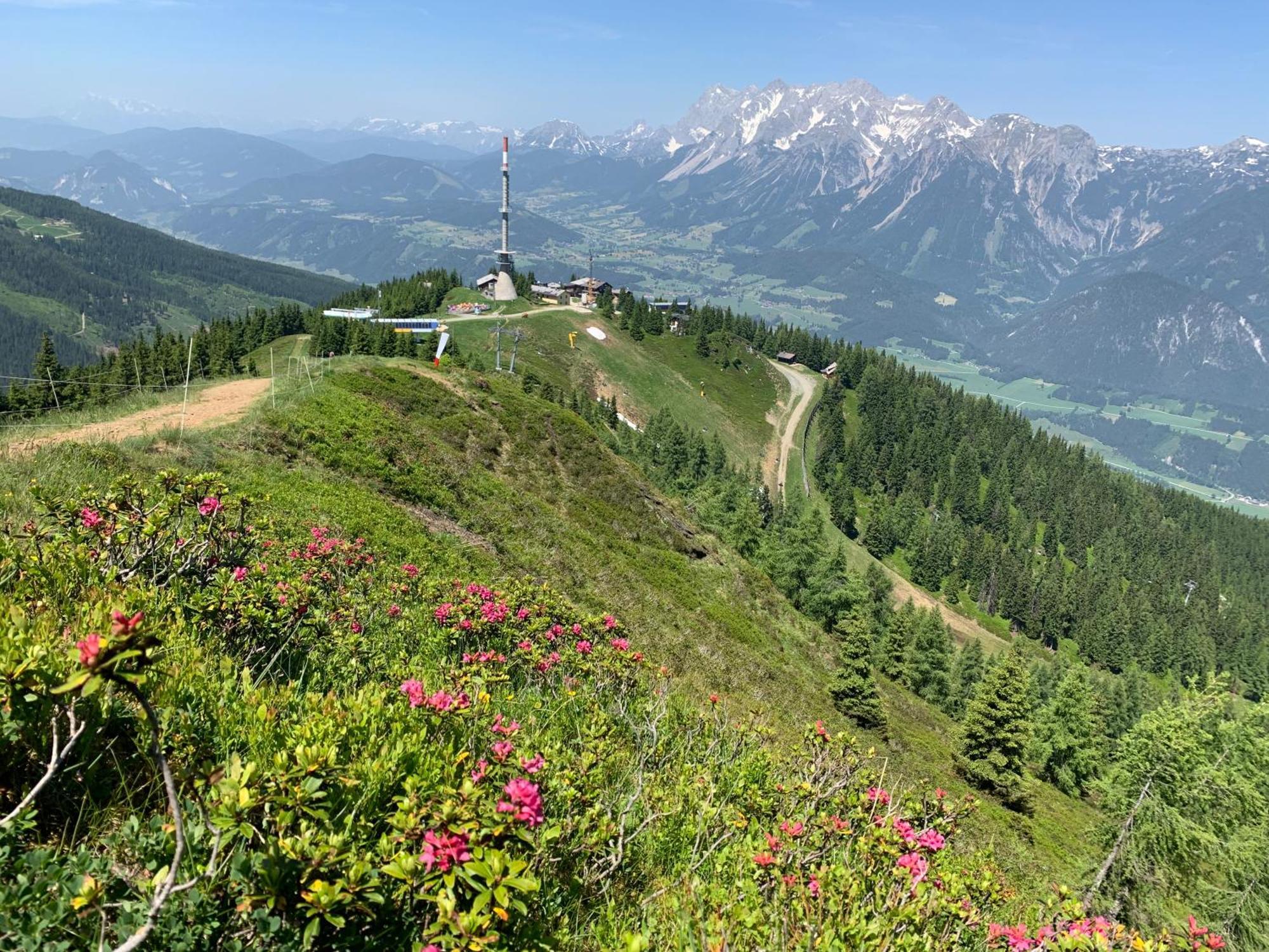 Hauszeit